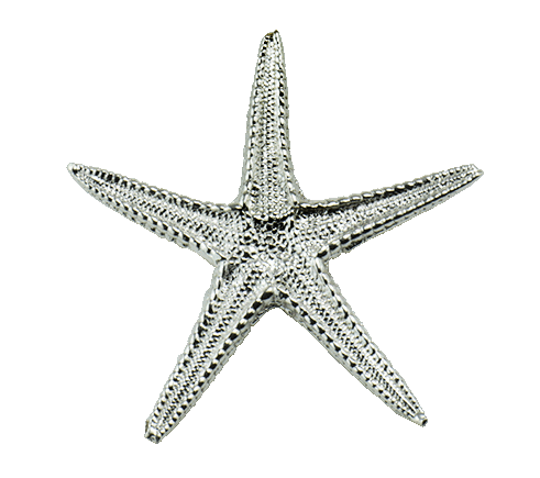 Sea Star Large
